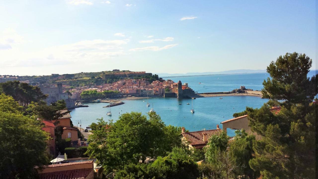 4Sap7 Appartement Avec Belle Terrasse Collioure Oda fotoğraf