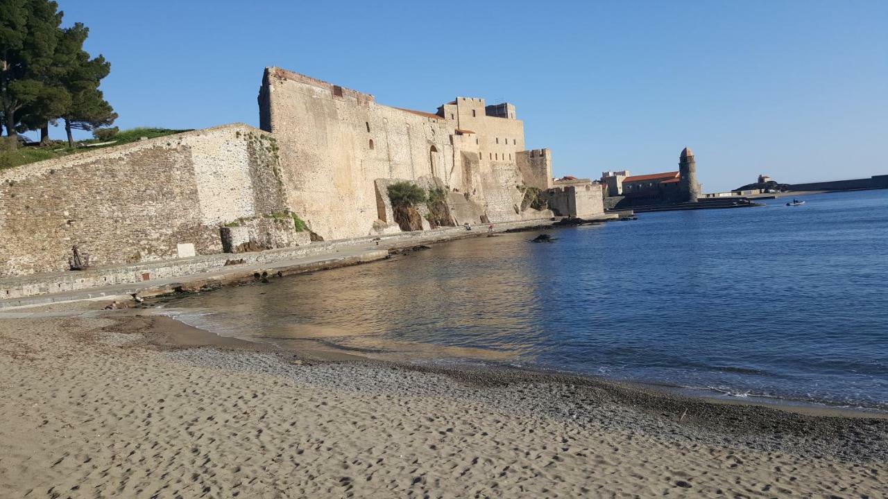 4Sap7 Appartement Avec Belle Terrasse Collioure Oda fotoğraf