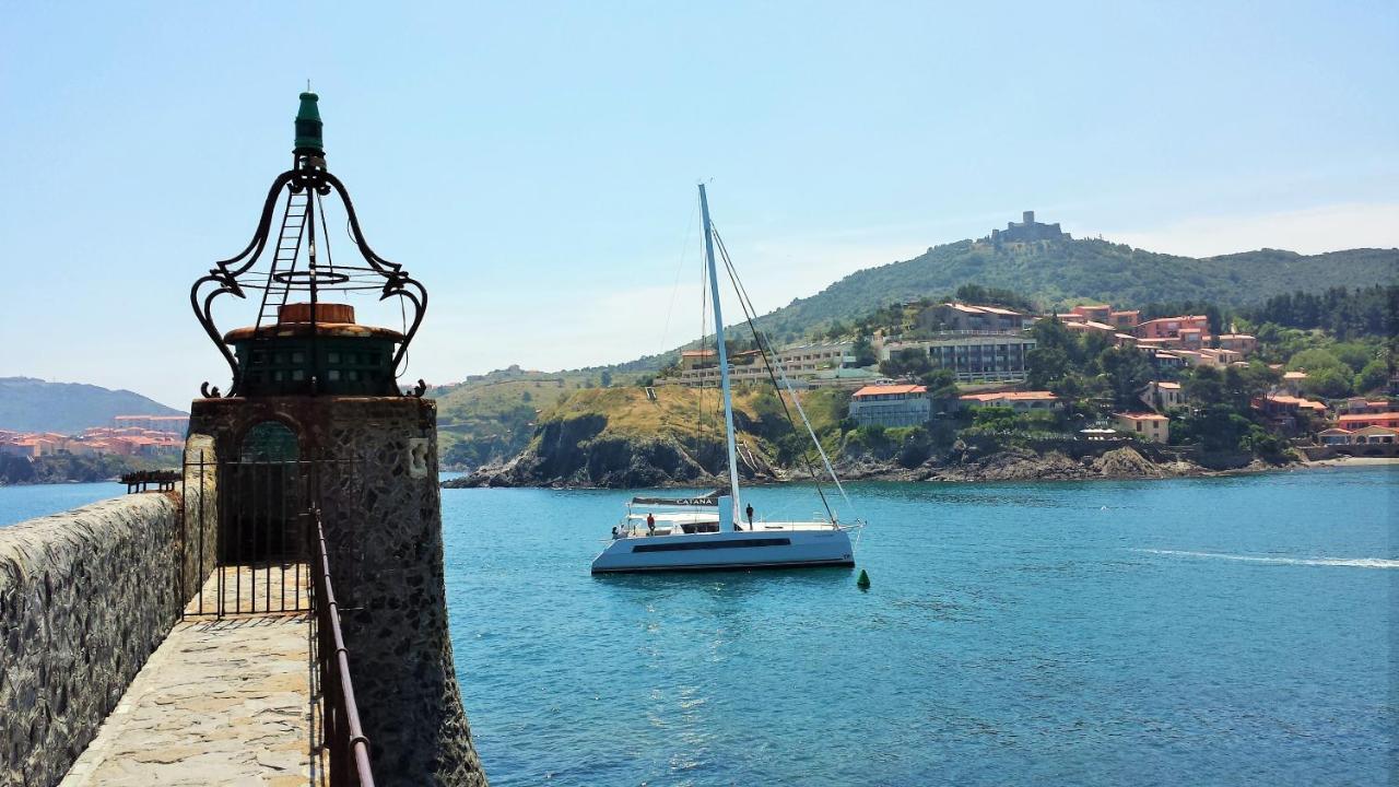 4Sap7 Appartement Avec Belle Terrasse Collioure Oda fotoğraf
